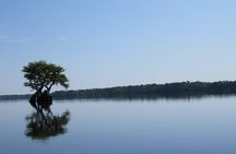 Lake Norris Kayak Activity with Lunch