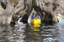 Lake Norris Kayak Activity with Lunch