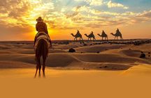 Private Tour at Desert Safari With Camel Ride & BBQ Dinner