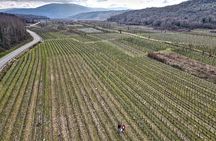 Winery Tour and Tasting with the Sommelier in KRK