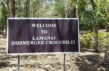 Lamanai Temples, River Cruise, Howler Monkeys, Birdwatching.