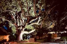 The Last Ride Private Golf Cart Ghost Tour for up to 5 people!