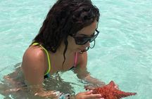 Isla Saona a tropical paradise and the best natural pool in Punta Cana
