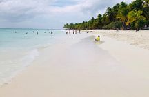 Isla Saona a tropical paradise and the best natural pool in Punta Cana