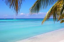 Isla Saona a tropical paradise and the best natural pool in Punta Cana
