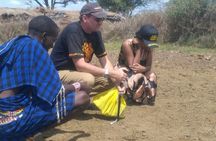 Masai village day tour.