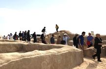  North Qatar Half-Day Tour: Al Zubarah, Purple Island & Mangroves