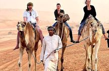 Oman Highlights: Wahiba Sands Desert & Wadi Bani Khalid Tour