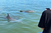 Island Paradise: Dolphin, Shelling, Birding Eco Boat Tour
