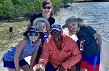 Island Paradise: Dolphin, Shelling, Birding Eco Boat Tour