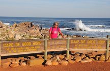 Cape Town Private Group Tour to Cape of Good Hope and Boulders Penguins Colony