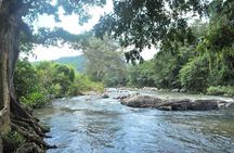 Full day Kandy walking tour with TUK TUK ride to Peradeniya gardens