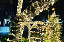 Story of St Augustine private golf cart history tour for up to 5 people!