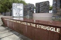 Half-Day Guided Tour of Johannesburg and Soweto Township 