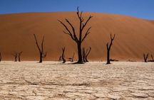 2 Day Scenic Sossusvlei Adventure Tour in Namibia