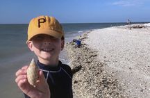 Island Paradise: Dolphin, Shelling, Birding Eco Boat Tour