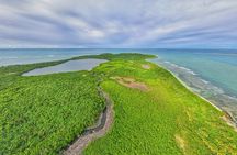 Bioluminescent Bay Night Kayaking from San Juan 6pm
