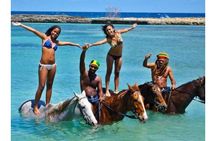 Dunn's River Falls and Horse Back Riding Excursion
