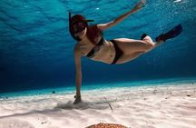 Snorkeling Experience in Cozumel with Transportation from Cancun