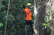 Mountain Bike tour to a Pristine Spring and Cave 