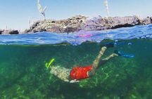 Full day Lava Tunnels Tour from Isabela Island