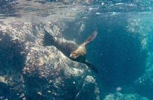 Full Day Santa Fe and Playa escondida with Snorkeling and lunch Included