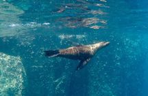 Full Day Santa Fe and Playa escondida with Snorkeling and lunch Included