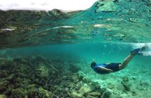 Full Day Pinzon Island, Finishing in la Fe with Snorkeling and Lunch included