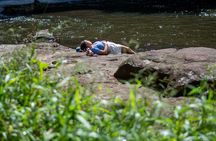 Full-Day Guided Hinterland Adventure Tour in Queensland