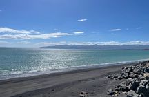 Scenic South Wairarapa Full Day Tour from Wellington