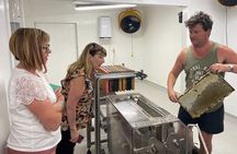 Private Martinborough Foodie Delights Tour from Wellington