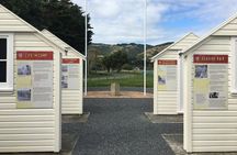 8-Hour Private Scenic Kapiti Coast Tour from Wellington