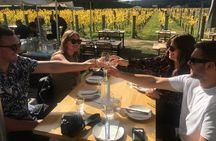 Private Wairarapa Wine Delights Tour from Wellington