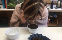A Taste of Wellington: Wellington Foodie Delights Tour