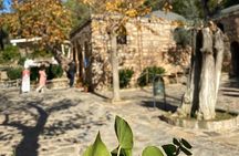 Izmir to Private Ephesus - Artemission Temple-Mother Mary's House
