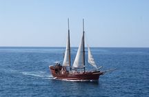 Sealife Dolphin & Whale Watching aboard Portuguese schooner