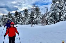 2002 Crater Excursion - Northern Etna