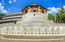 SriLanka Private 8Days Tour friendly Chauffeur+Vehicle with & without Hotel H/B 