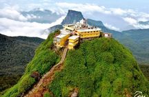 SriLanka Private 8Days Tour friendly Chauffeur+Vehicle with & without Hotel H/B 