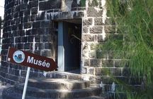 Private Full-Day Tour of the West & South-West of Mauritius
