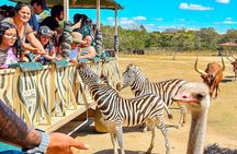 Day pass to Ponderosa Adventure Park 