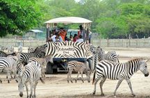 Day pass to Ponderosa Adventure Park 