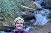 Private Boutique Blue Ridge Parkway Full Day Tour