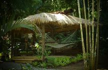 Full Day-Mudpools,Village,Temple,Sleeping Giant Gardens,Shopping Ex Coral Coast