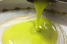 Olive Oil Mill experience and tasting in Salento with Guide