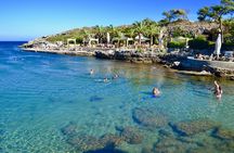 Full-Day Cruise Tour to Rhodes Island with Lunch