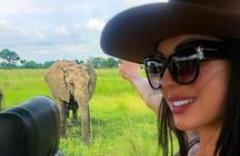 5 Days Wildlife Midrange Safari to Tarangire, Serengeti, Ngorongoro and Manyara