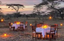 5 Days Wildlife Midrange Safari to Tarangire, Serengeti, Ngorongoro and Manyara