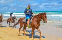 Beach Sunset on Horse Riding in Punta Cana