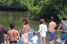 Cayo Arena Exclusive Tour with Lunch